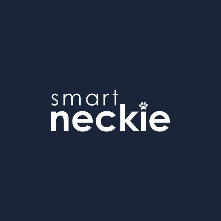 Smart Neckie